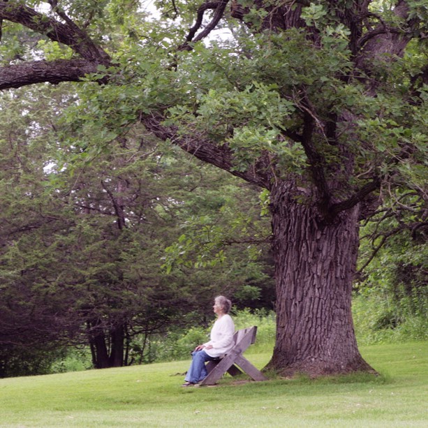 Lady sitting under a tree